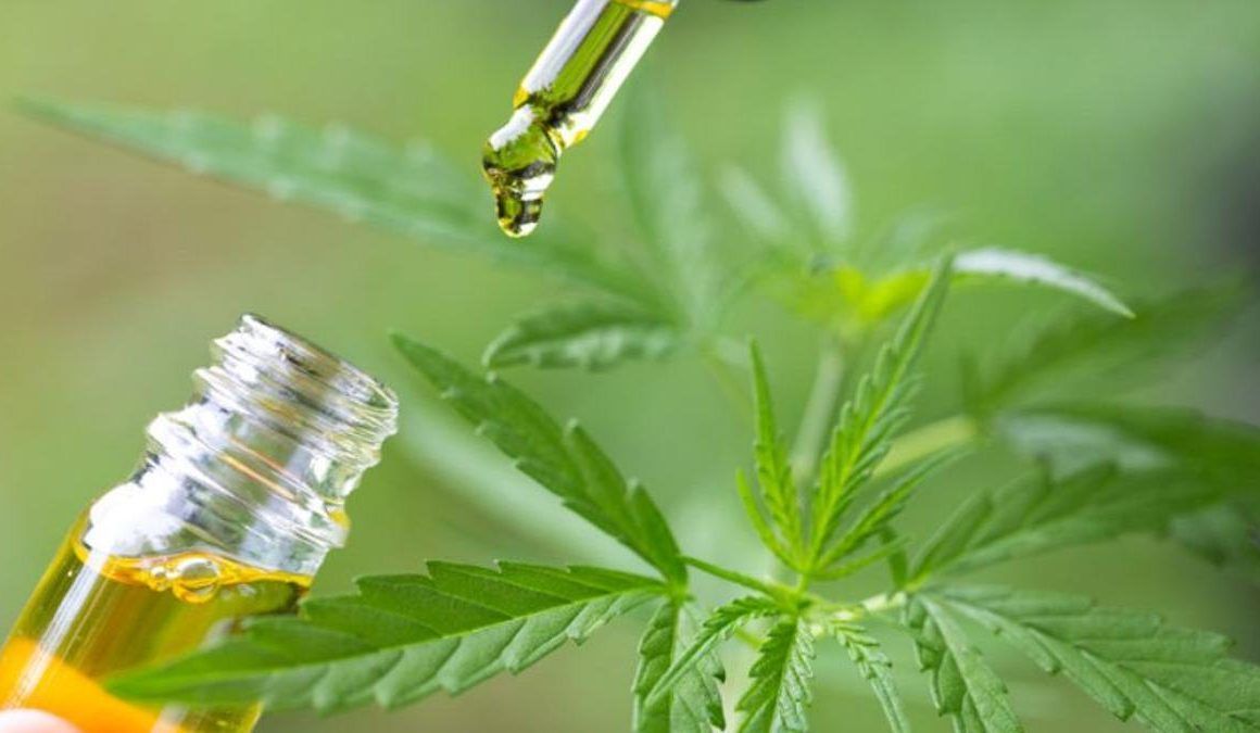 Qué es el CBD